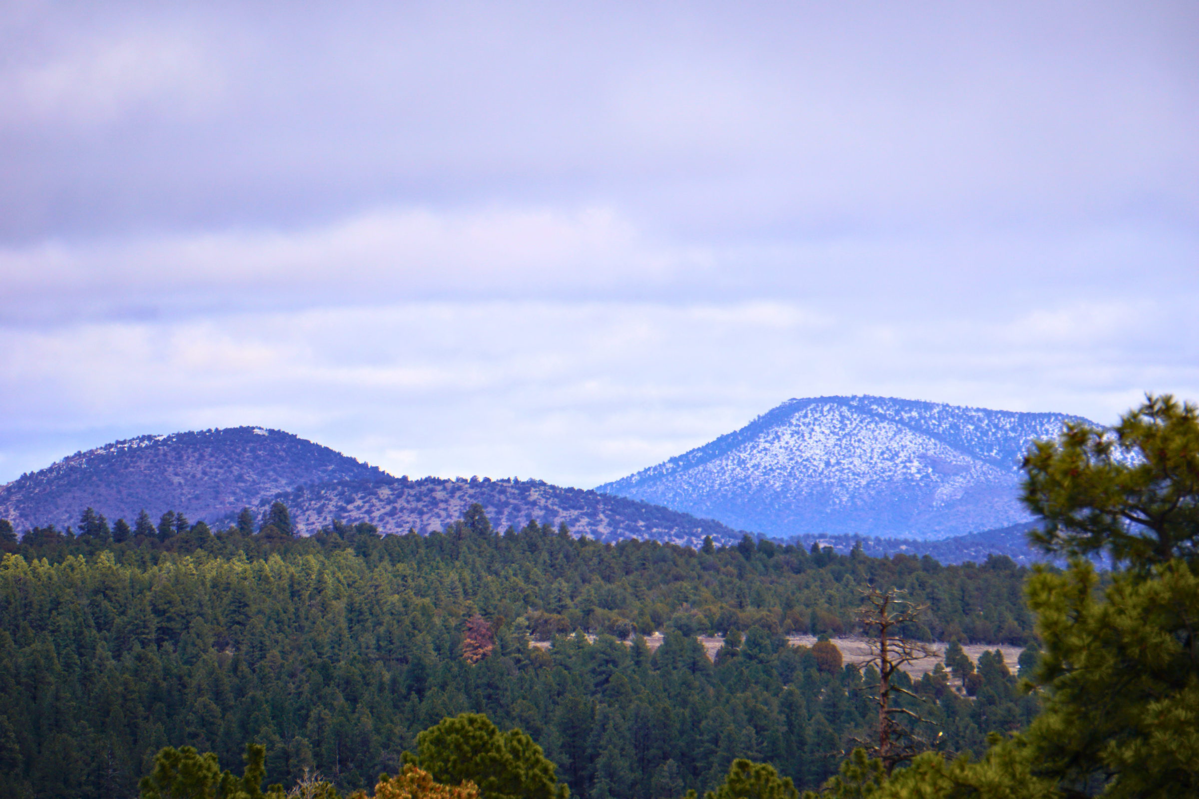 williams, arizona (2).webp